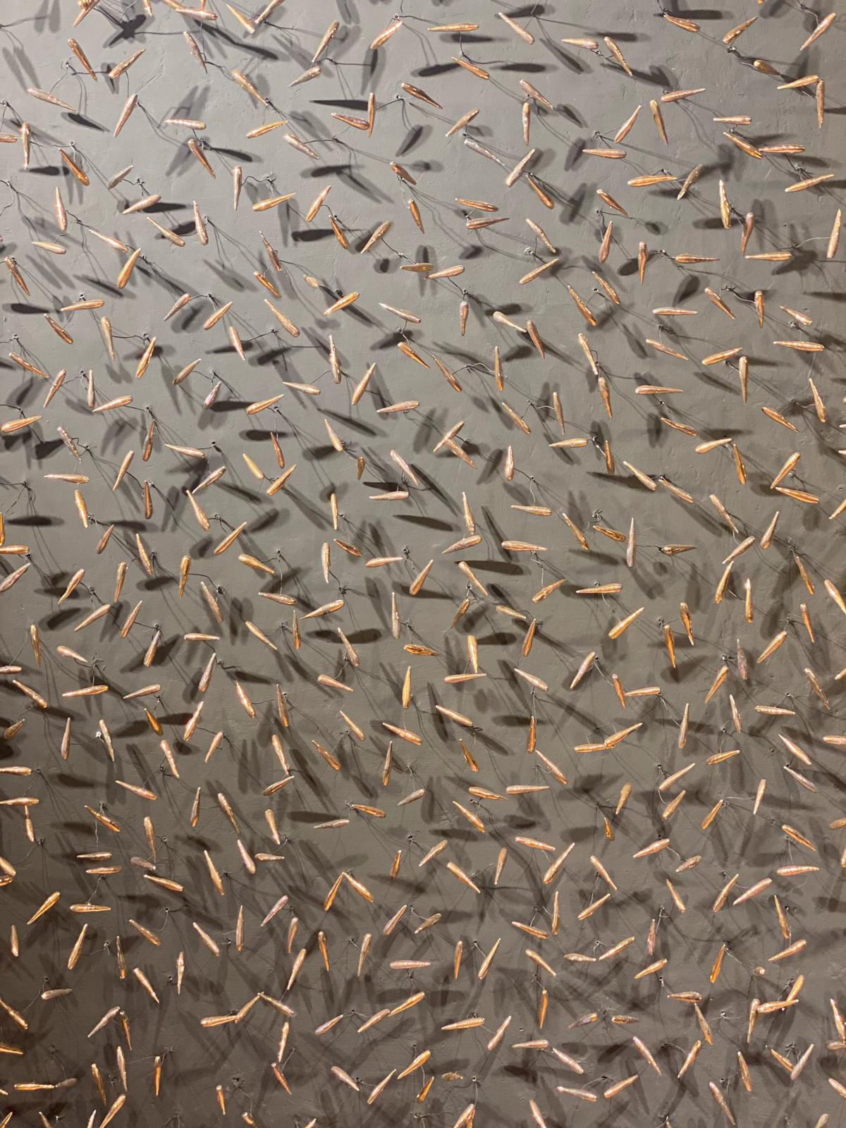 Swarm of Light