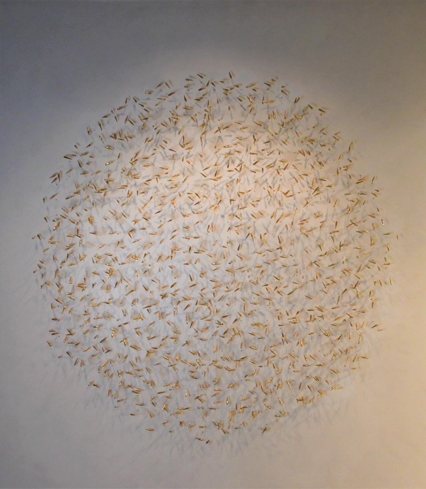 Swarm of Light