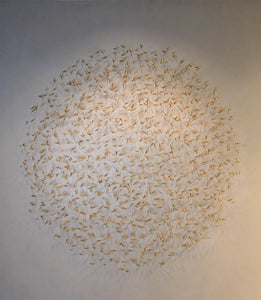 Swarm of Light