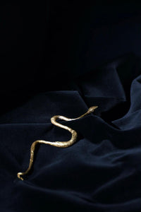 Snake Brooch