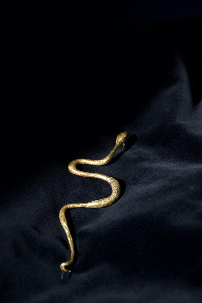 Snake Brooch