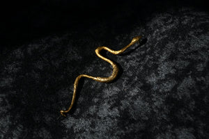 Snake Brooch
